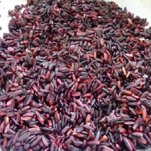 Arroz Negro - Arroz Violeta - Arroz Glutinoso - Product Image 5