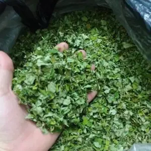 Cheap Moringa leaf powder - Moringa Leaves Powder - Moringa leave