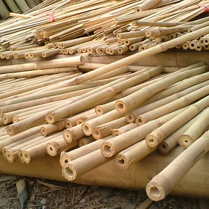 TAM VONG de bambú (Whatsapp + 84 845 de 639 de 639)