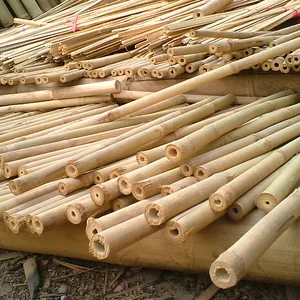 TAM VONG BAMBOO (Whatsapp +84 845 639 639)