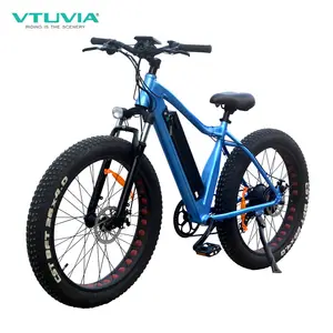 LCD Display 55km range 250W 750W 36V 48V 7 Speed Derailleur mountain electric bicycle fat tire e bike with big capacity battery
