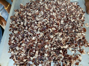 GIA GIA NGUYEN Boulettes de noix de cajou séchées en usine au Vietnam 3-10mm pour le bronzage en gros à prix réduit Durée de conservation de 12 mois - Product Image 2