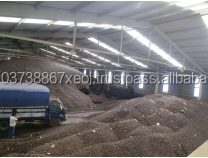 เศษกะลามะม่วง - วัตถุดิบเชื้อเพลิงของเวียดนาม/กากกะลามะม่วง - Product Image 4
