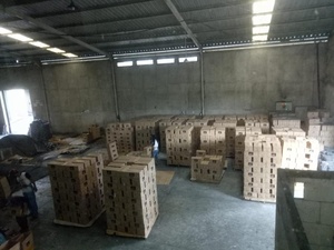 Máy Làm Than Vỏ Dừa Chất Lượng Tốt Nhất Cho Than Than Củi - Product Image 4