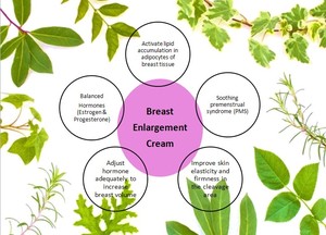 Crème de qualité supérieure pour l'augmentation et le raffermissement des seins pour femmes, à base de plantes, ODM/OEM, lifting et raffermissement du buste - Product Image 2