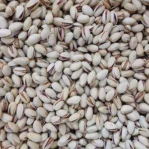 Pistaches en poudre brutes séchées de qualité supérieure en gros à prix avantageux - Product Image 1