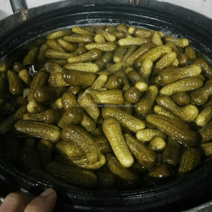 Assortiment de tomates cerises en conserve faciles à vendre, cornichons et concombre pour bébé en pot avec vacances - Product Image 1