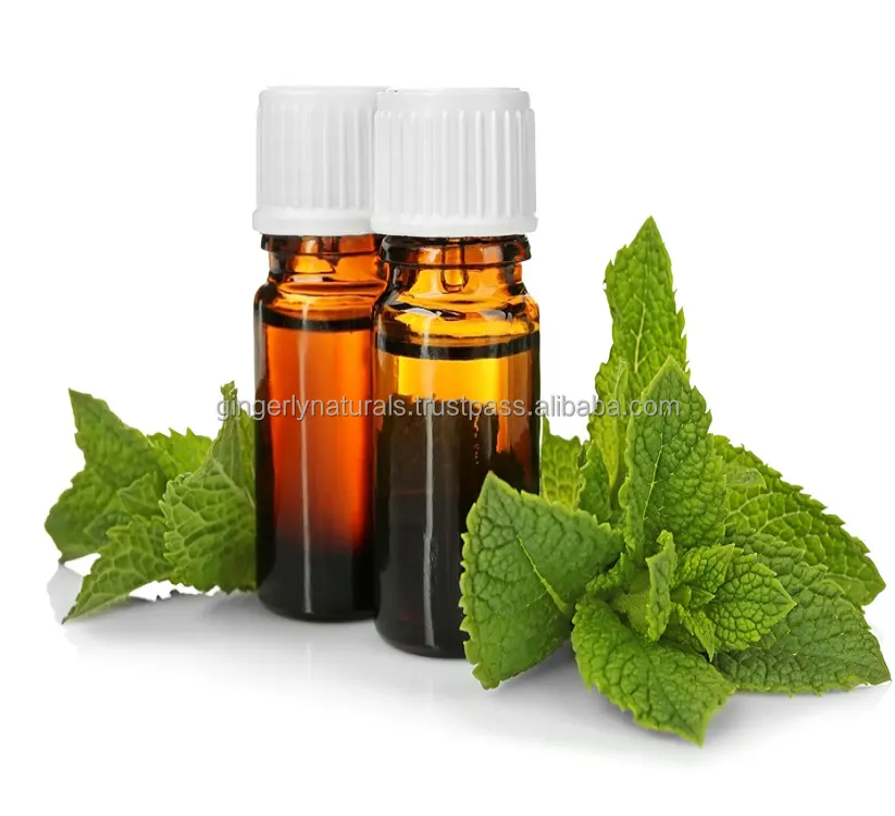 Manufacture of Peppermint Oil from India