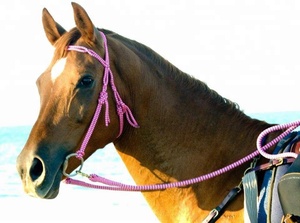 Brida para Caballo, Marca OEM/ODM, Modelo AIHRB-03 - Product Image 4
