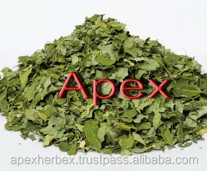 Moringa Leaves T Cut Powder Organic Leaves Apex India