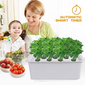 Système de <span class=keywords><strong>culture</strong></span> <span class=keywords><strong>hydroponique</strong></span> miniature portable <span class=keywords><strong>d</strong></span>'<span class=keywords><strong>intérieur</strong></span> OEM Shenzhen, kit <span class=keywords><strong>d</strong></span>'éclairage LED pour la <span class=keywords><strong>culture</strong></span> des plantes avec pompe automatique pour un usage domestique - Product Image 2