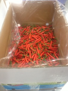 CHILE ROJO/VERDE CONGELADO - Chile Rojo/Verde Congelado Vietnamita - Product Image 2