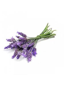 Aceite esencial de lavanda pura 100%, líquido Natural de buena calidad con olor dulce para mejorar el estado de ánimo, aromaterapia, bienestar Natural - Product Image 2