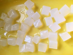 Cubes de nata de coco premium du Vietnam |   Gelée de noix de coco moelleuse pour boissons et desserts - Product Image 5