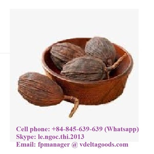 Amomum villosum seco de alta calidad 2020 - Product Image 5