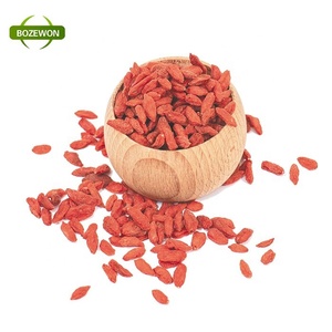 유기 울프베리 추출물 야생 재배 구기 베리 분말 형태의 다당류 드럼 포장 - Product Image 5