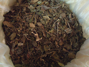 ขายแห้งบัวบก/CENTELLA - Product Image 2