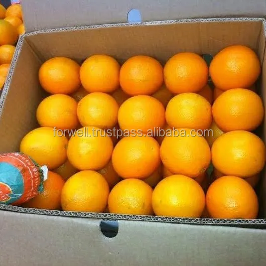 Специальные типы свежих фруктов и овощей: апельсин/лимон