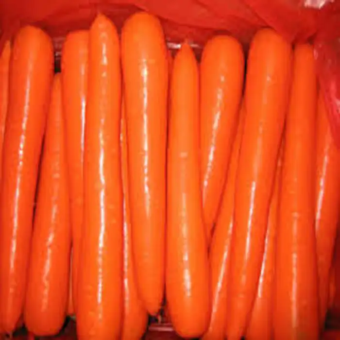 VENDITA all'ingrosso Fresco carota prezzo a buon mercato