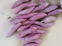 Pomme de terre violette de haute qualité - Product Image 5