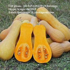 El mejor proveedor, calabaza orgánica congelada, alta calidad, mejor precio, calabaza cultivada en Vietnam - Product Image 6