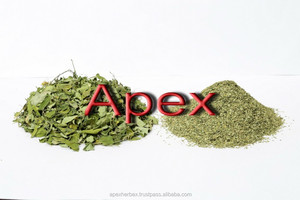 Hojas de Moringa enteras, proveedor a granel de hojas de moringa, mayor exportador de polvo de hojas de moringa - Product Image 6