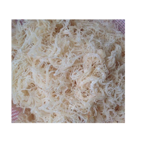 เวียดนามอาหารทะเล Cottonii สาหร่ายที่มีราคาถูกที่สุด - Product Image 1