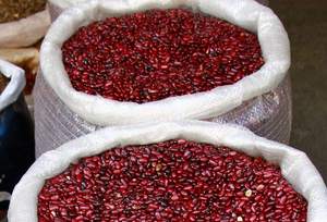 Frijoles Negros de Sudáfrica Premium a Granel, 25 kg, Secos, Listos para Exportar - Product Image 5
