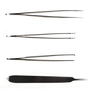 12 pièces 2025 étudiant biologie Dissection Kit cas de haute qualité en acier inoxydable ton argent manuel Instruments chirurgicaux base - Product Image 2