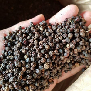 POIVRE NOIR SÉCHÉ FRAIS 500G/L 550G/L 580G/L 600G/L Prix de gros - Product Image 1