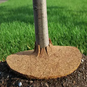 Buon prezzo Coco Fibra Pacciamatura Anelli Degli Alberi-anelli degli alberi di Cocco/WHATSAPP + 0084 845 639639