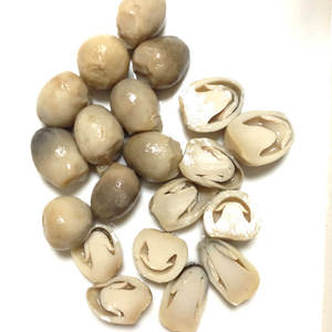 SETA PAJA FRESCA AL POR MAYOR en 2021 - Product Image 3