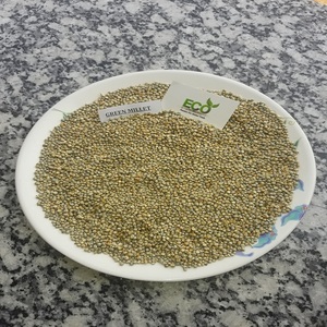 ข้าวฟ่างสีเขียว bajara - Product Image 6