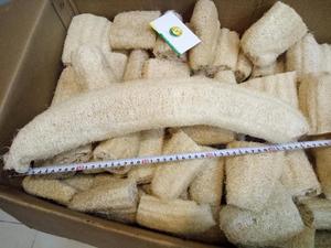 Luffa naturelle / Matière première vietnamienne Loofah disponible en petites et grandes tailles au prix le plus bas - Product Image 6