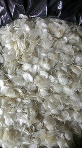 Washed Dried Fish Scales From Vietnam-Top Grade Viet Delta Brand for Collagen Use Hot Selling 2024 Material Products - Mr. Alex - Product Image 6