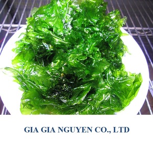 ULVA LACTUCA/ LECHUGA DE MAR/ POLVO DE ULVACEAE Grado Superior Marca GIA GIA NGUYEN Vietnam Modelo Dora 6-8kg/bolsa - Product Image 1