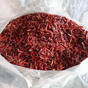 PEPERONCINO SECCO di QUALITÀ PREMIUM, PREZZO A BUON MERCATO MAI