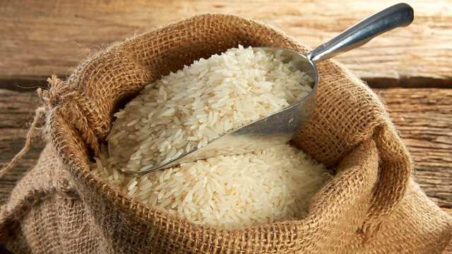 500g Carnaroli Giuseppe Verdi GVERDI Italian Rice