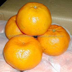 Naranjas Grandes Dulces Frescas/Naranjas Navel (Naranja Sin Semillas) - Product Image 2