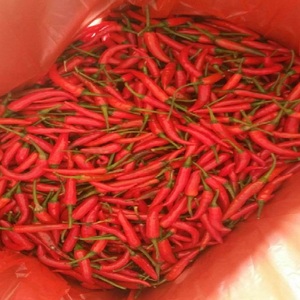 Chiles Rojos Orgánicos de Vietnam, Vegetales Frescos Congelados, Pimientos Picantes de 4-6 cm, Picantes Naturales, Selección Cuidadosa, Calidad Superior, Venta al Por Mayor - Product Image 2