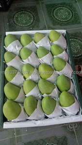 มะม่วงออร์แกนิกสีเขียวเหลืองสด - Product Image 5