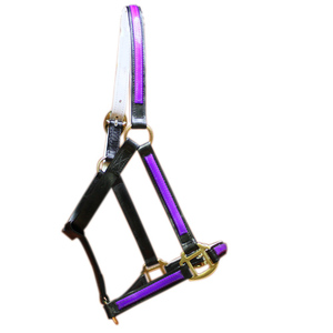 Nouveau modèle de marque OEM/ODM de licou de cheval à haute résistance AIPVCH-007 à vendre - Product Image 6