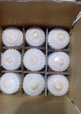 100% NOIX DE COCO FRAIS BIOLOGIQUE DE HAUTE QUALITÉ DU VIET NAM - Product Image 2