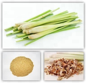 El mejor polvo de hierba de limón seco de VIET NAM, Cymbopogon Citratus de alta calidad, el mejor precio, especias de anís, conservación de aceite procesado - Product Image 3