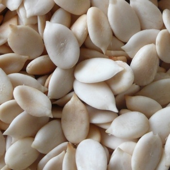 DRIED MELON SEEDS %
