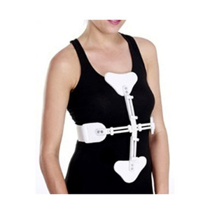 สายรัด hyperextension ASH ที่รองรับการส่งออก - Product Image 1