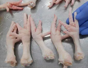 ハラールチキン冷凍鶏の足/ハラールISOギャップ認証ウズベキスタンの冷凍鶏の足