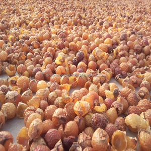 Fournisseur en gros de poudre de fruit de Reetha en provenance d'Inde - Product Image 2