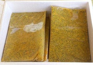 CONCENTRADO DE JUGO DE MARACUYÁ CONGELADO SIN AZÚCAR ALTA PUREZA 99% DE VIETNAM - Product Image 5
