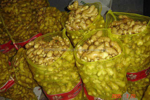 Jengibre fresco lavado/sin lavar, de Tailandia - Product Image 3